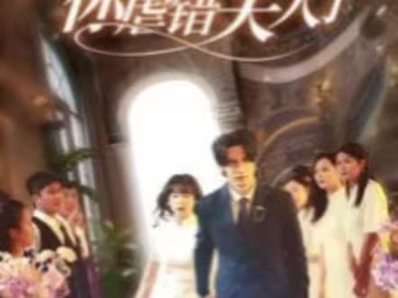 陸總住手吧，你虐錯(cuò)夫人了(全集)