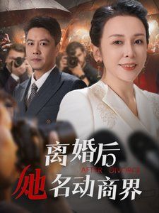 離婚后她名動商界(中年離婚后她名動商界)(全集)