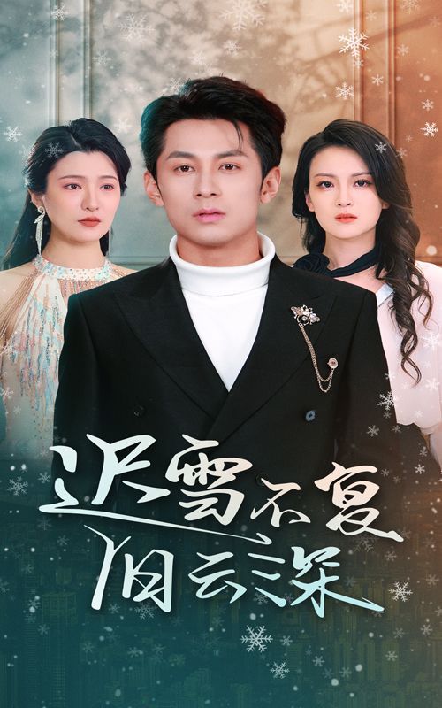 遲雪不復(fù)舊云深（當(dāng)年明月，負(fù)盡深雪）(全集)