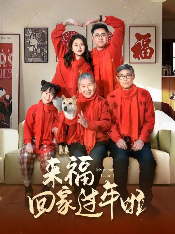 來(lái)?；丶疫^(guò)年啦(全集)