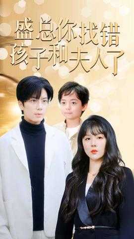盛總你找錯孩子和夫人了(全集)