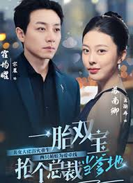 一胎雙寶，搶個總裁當(dāng)?shù)?全集)