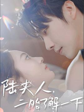 陸夫人，二胎了解一下(全集)
