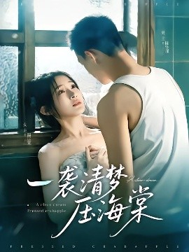 一襲清夢壓海棠(全集)