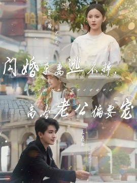 閃婚孕妻逃不掉，高冷老公偏要寵(全集)