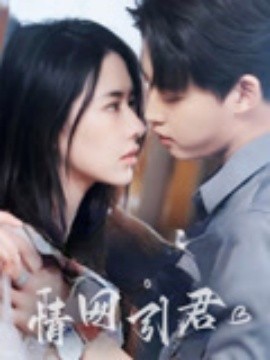 情網(wǎng)引君(全集)
