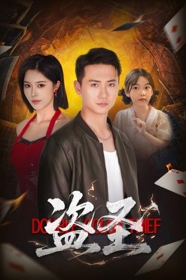 盜圣(全集)
