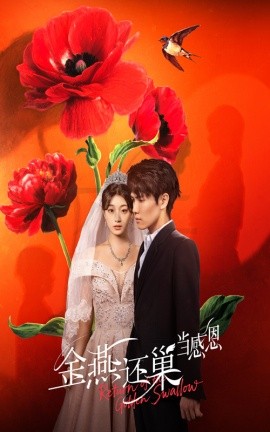 金燕還巢當感恩(全集)