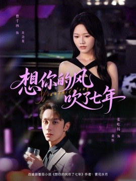 想你的風吹了七年(全集)