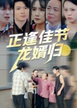 正逢佳節(jié)龍婿歸(全集)
