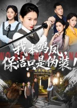 我本鳴鳳保潔只是偽裝(全集)