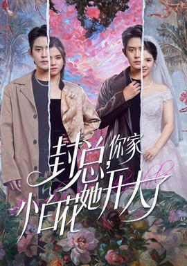 封總，你家小白花她開(kāi)大了(全集)