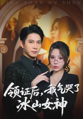 領證后，我氣哭了冰山女神(全集)