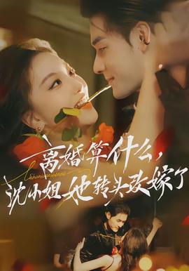 離婚算什么，沈小姐她轉(zhuǎn)頭改嫁了(全集)