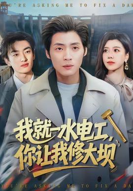 我就一水電工，你讓我修大壩(全集)