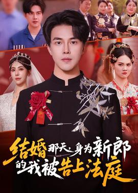 結(jié)婚那天，身為新郎的我被告上法庭(全集)